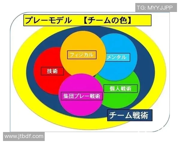 成都排球队在精英赛中的个人能力展现与战术配合分析