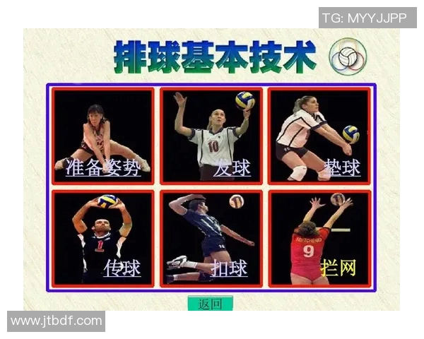 成都排球队的战术演变与技术提升深度解析